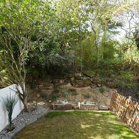 The Garden & Serenity *